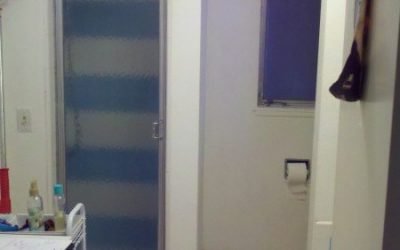 Our Latest Basement Bathroom Remodel